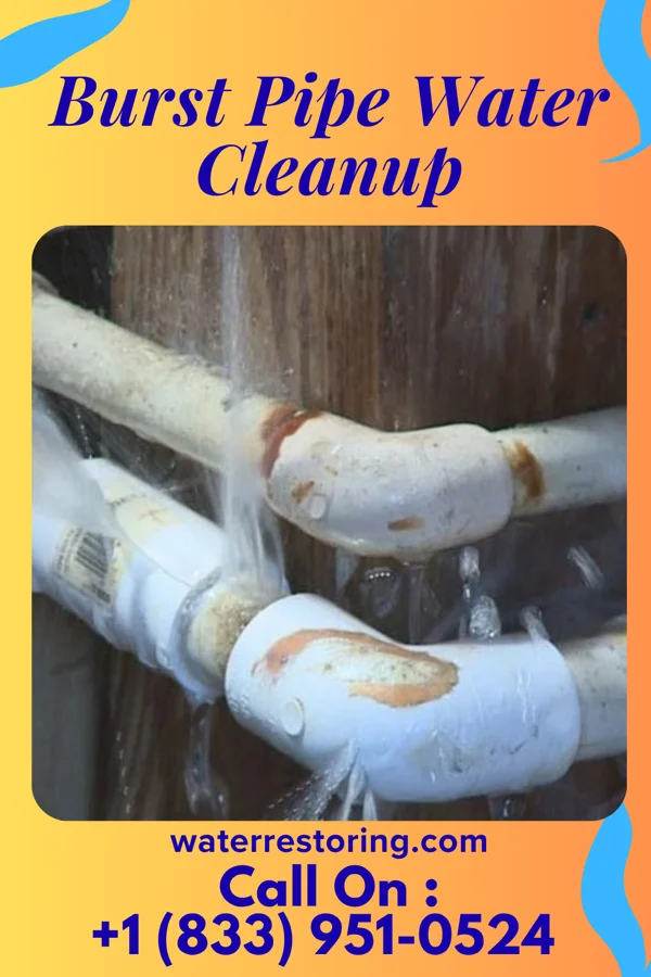 Burst Pipe Water Cleanup in Mission, SD